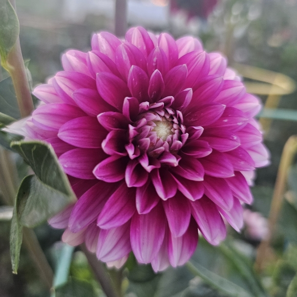 💕Por favor, dale me gusta a esta publicación para mis fiestas en español - Picture 4 of 16